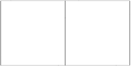 The boundary and the interior interfaces of the two partitioned squares geometry 